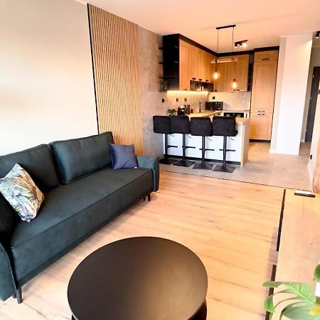 Cisza Przy Lodzkiej By Rentoom Apartment Torun Ngoại thất bức ảnh